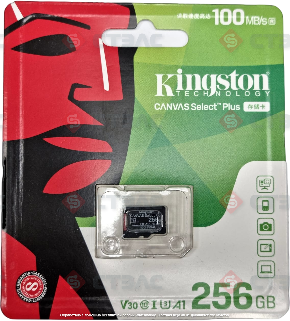 Карта памяти Kingston (microSDXC) 256Gb Class 10 Canvas Select Plus A1 без адаптера